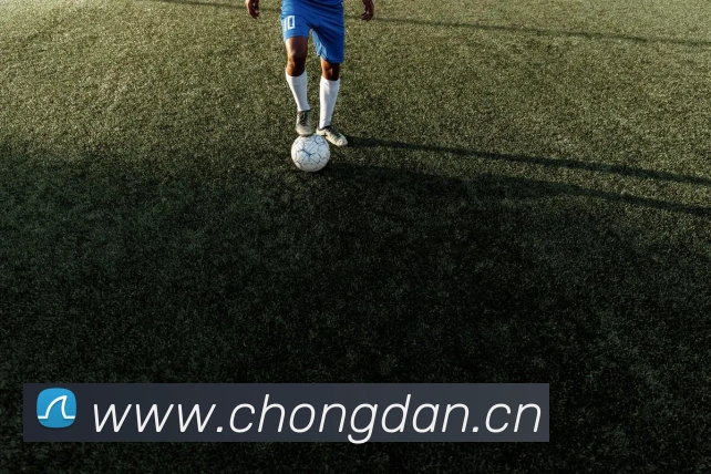 多媒体互动体验